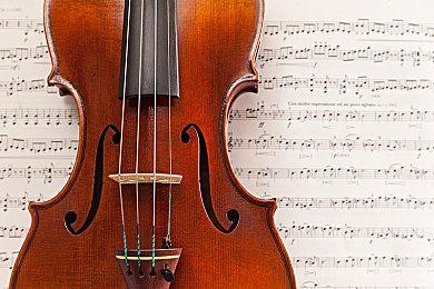 卡通Rogue-lite射击游戏《疯狂宠物秀》今日在 Steam上推出