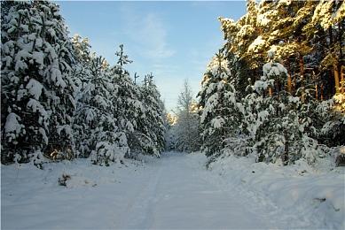 《燕云十六声》1.5版本踏实搞优化 持续听劝欢迎交流